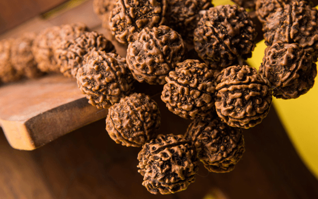 Energize Rudraksha