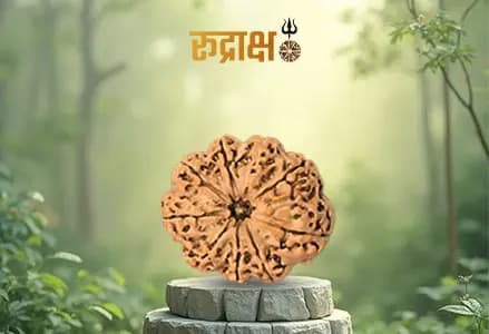 9 mukhi rudraksha